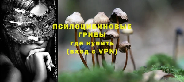 дживик Алексин