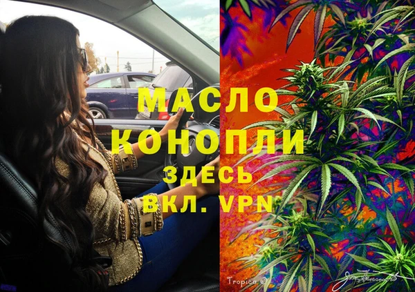 гидра Пестово