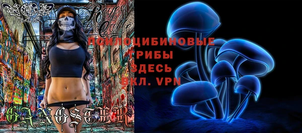 гидра Пестово