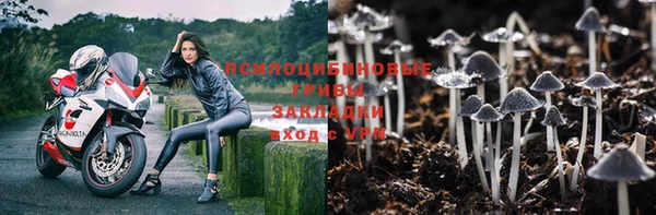 дживик Алексин
