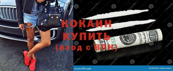 дживик Алексин