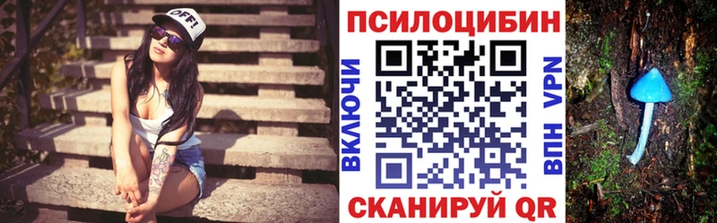 как найти наркотики  Богородск  Галлюциногенные грибы мицелий 